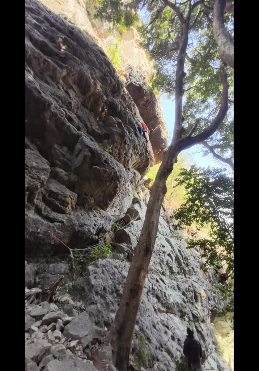 Img 3464 ちょっとずつ登る